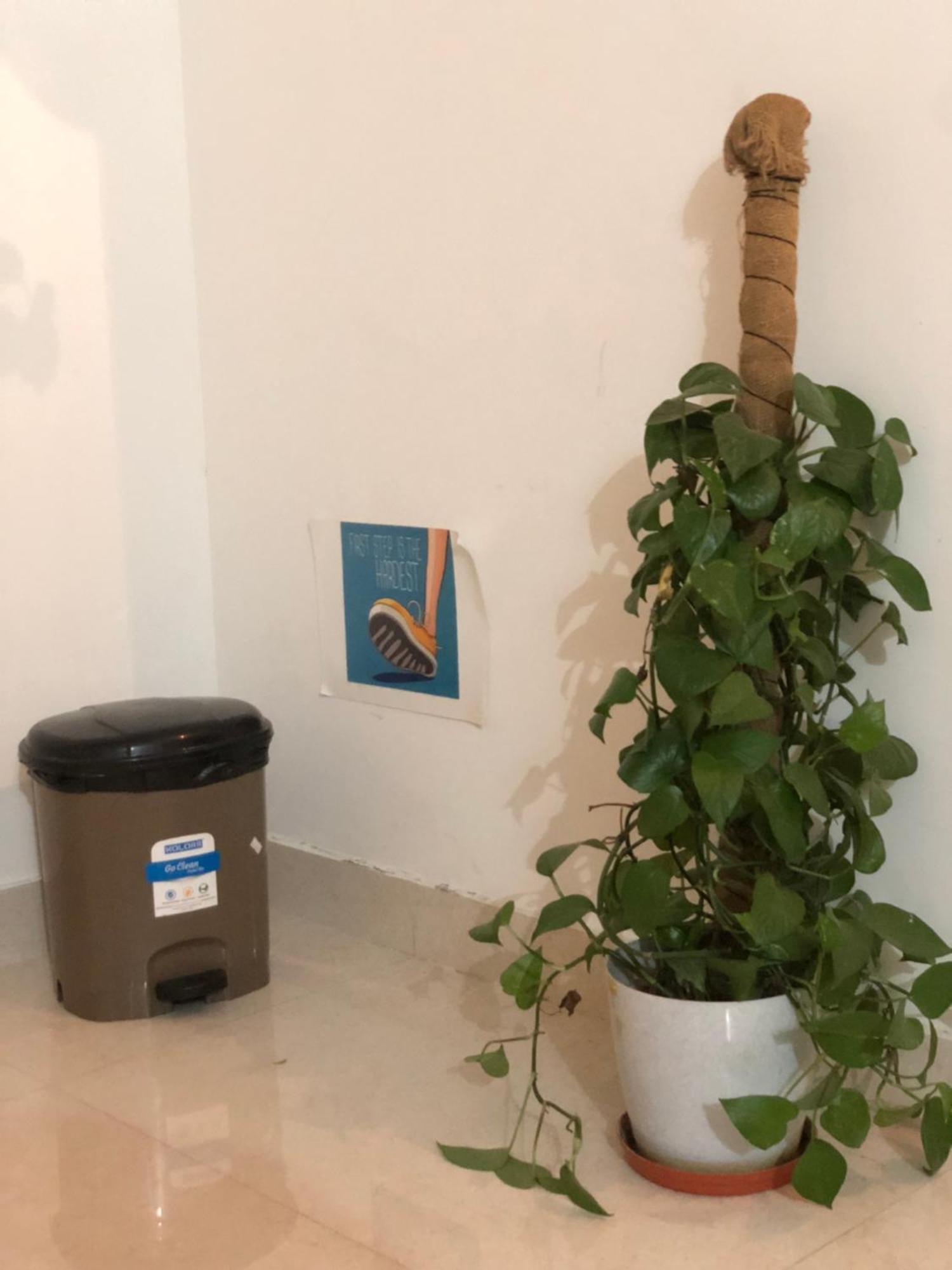 Sapthagiri Nest Apartment Chikmagalūr Екстериор снимка